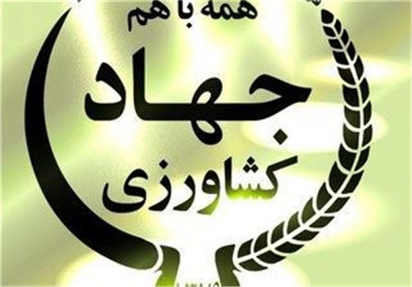 لزوم ارایه خدمات بلاوقفه
