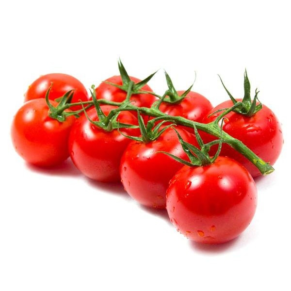 ممنوعیت واردات گوجه فرنگی به اقلیم کردستان عراق